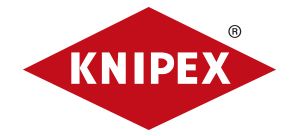 4008云顶集团(国际)股份有限公司